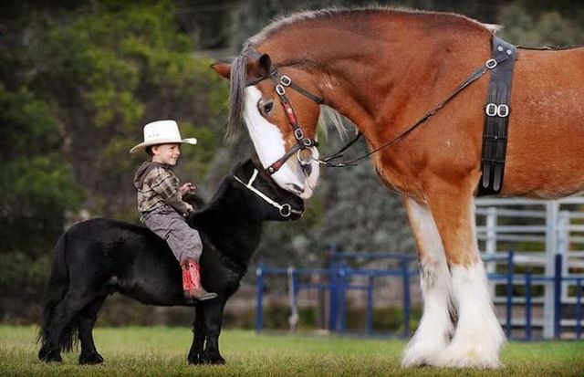 Daily picdump (109 pics)