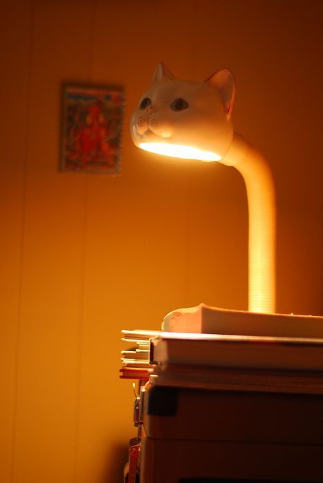 Daily picdump (109 pics)