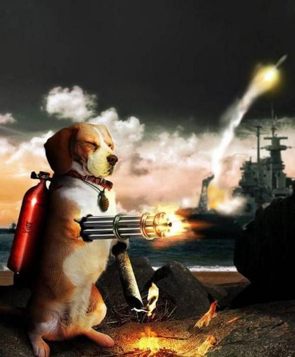 Daily picdump (109 pics)