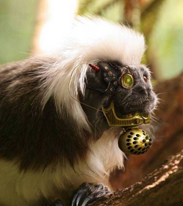 Daily picdump (109 pics)