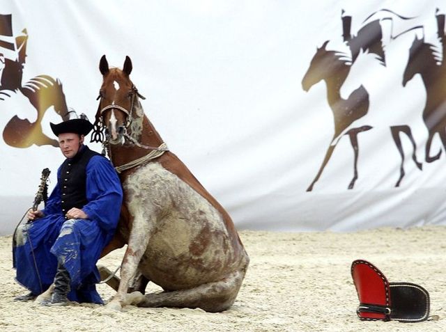 Daily picdump (109 pics)