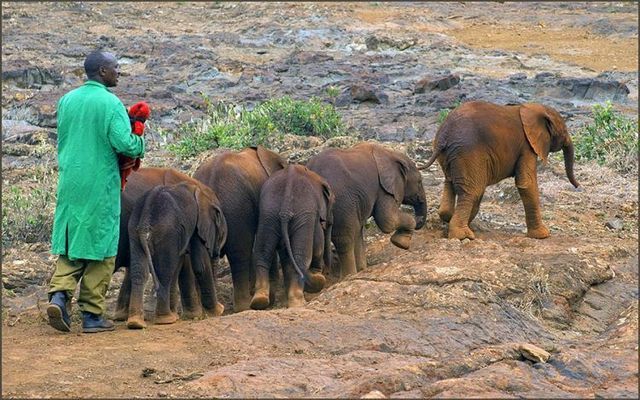 Daily picdump (109 pics)