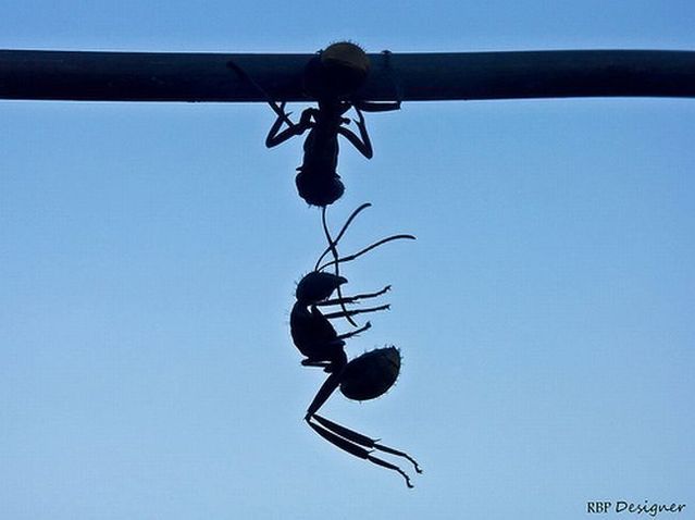 Daily picdump (109 pics)