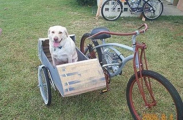 The most ridiculous Side Carts in the world (48 photos)