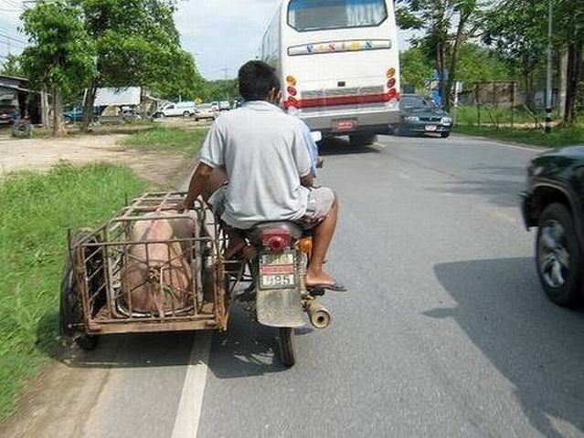The most ridiculous Side Carts in the world (48 photos)