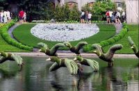 Curiosities and bonus pictures
