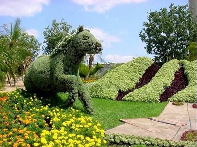 Edward Scissorhands must have done that ;)(14 pics)