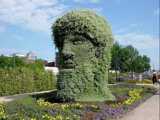 Edward Scissorhands must have done that ;)(14 pics)