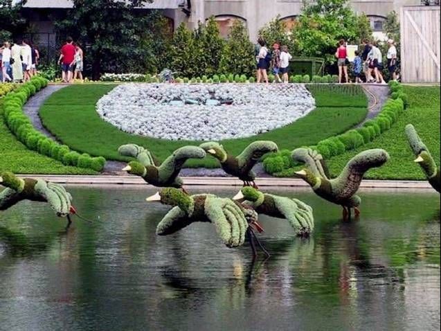 Edward Scissorhands must have done that ;)(14 pics)