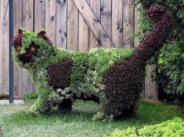 Edward Scissorhands must have done that ;)(14 pics)