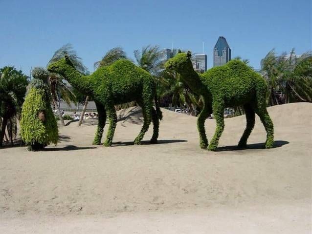 Edward Scissorhands must have done that ;)(14 pics)