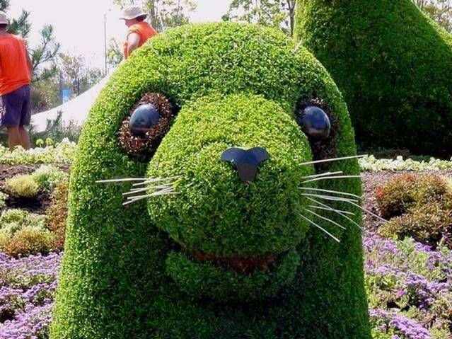 Edward Scissorhands must have done that ;)(14 pics)
