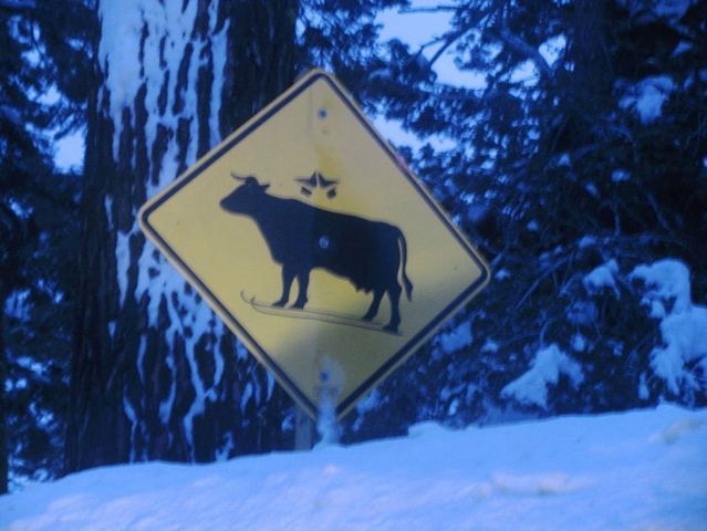 Daily picdump (93 pics)