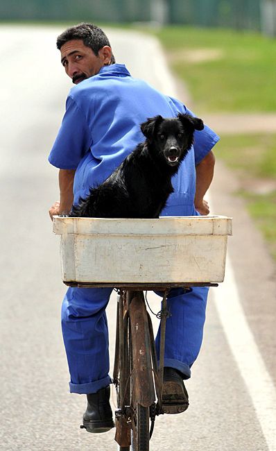 Daily picdump (93 pics)