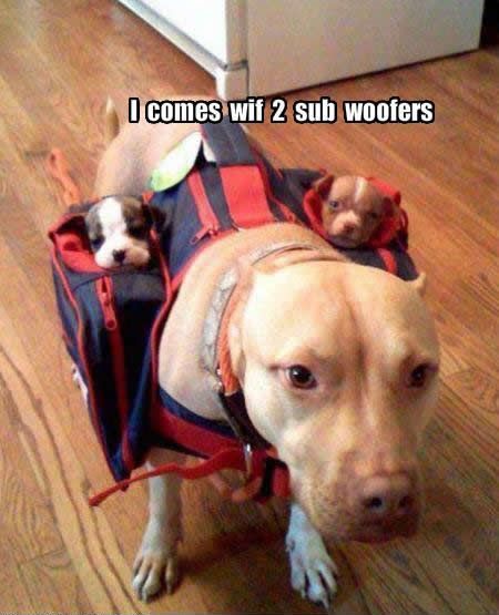 Daily picdump (93 pics)