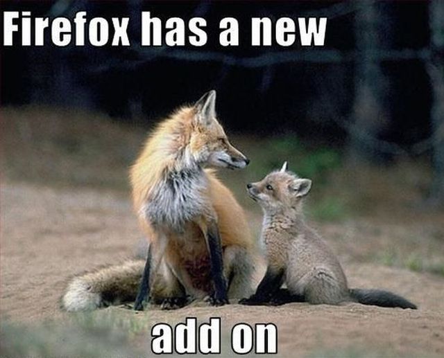 Daily picdump (93 pics)