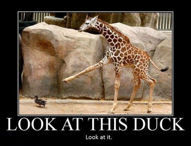 Daily picdump (93 pics)