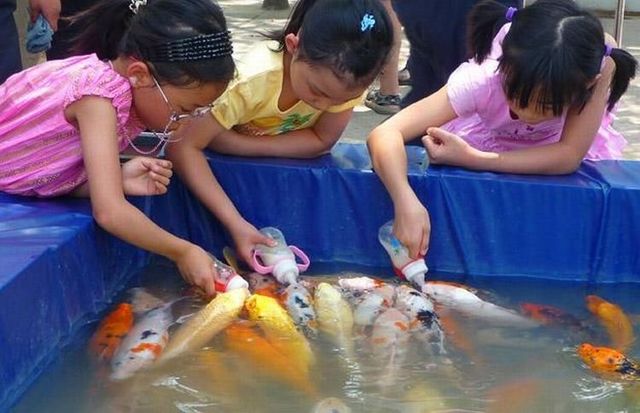 Daily picdump (93 pics)
