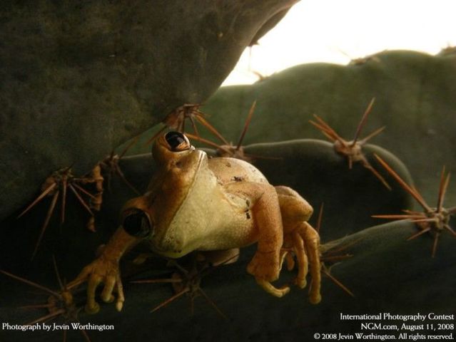 The best of International Photography Contest (50 pics)
