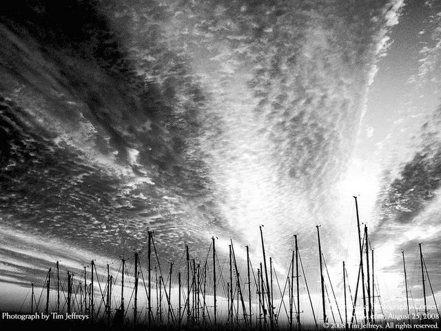 The best of International Photography Contest (50 pics)