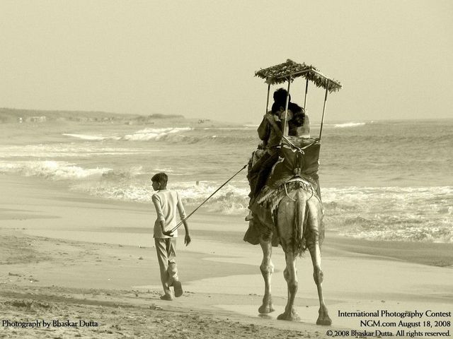 The best of International Photography Contest (50 pics)