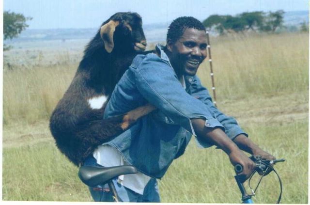Only in Africa! (35 pics)