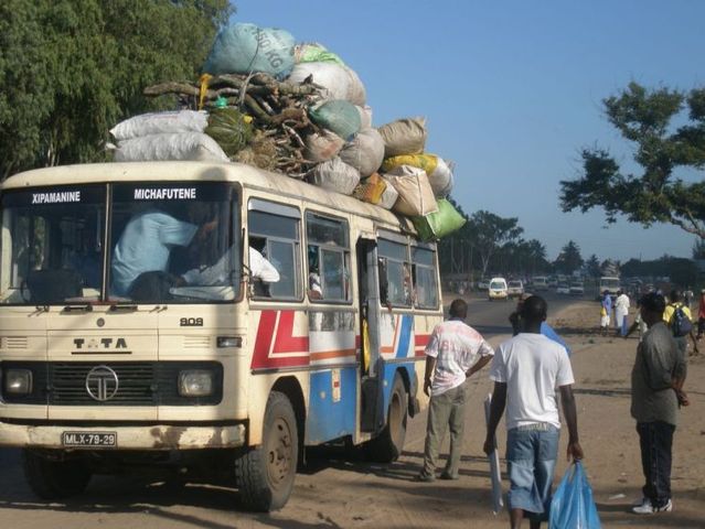 Only in Africa! (35 pics)