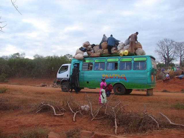 Only in Africa! (35 pics)