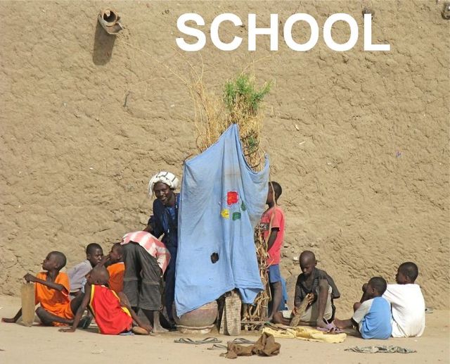 Only in Africa! (35 pics)