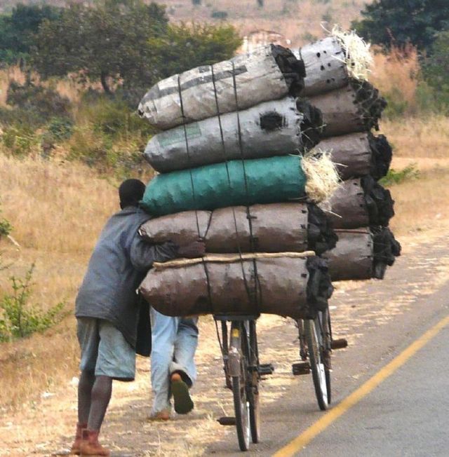 Only in Africa! (35 pics)