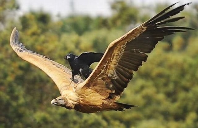 Daily picdump (112 pics)
