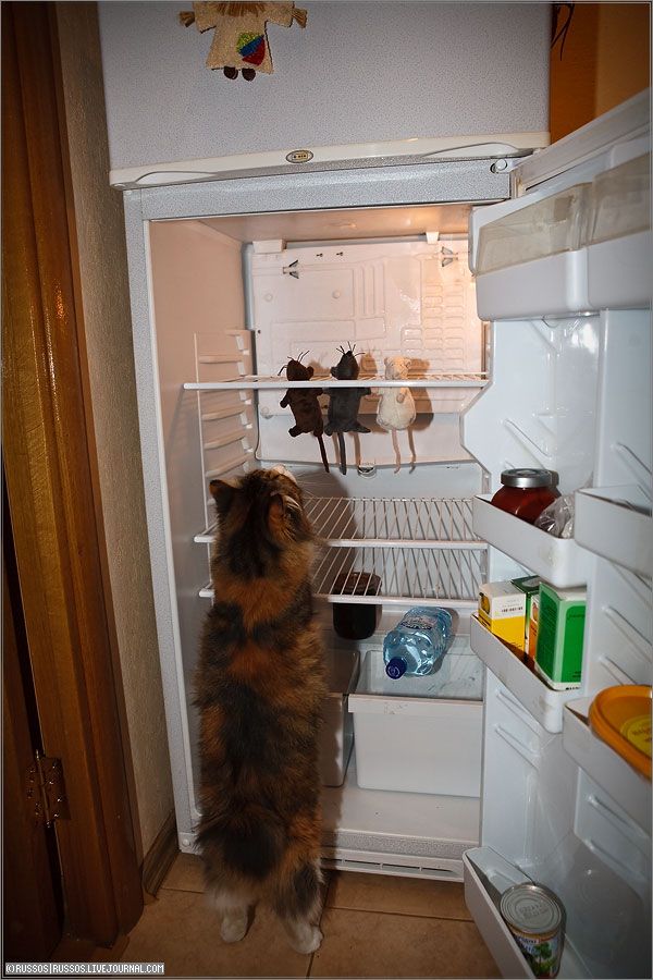 Daily picdump (112 pics)