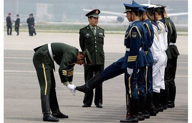 Daily picdump (112 pics)