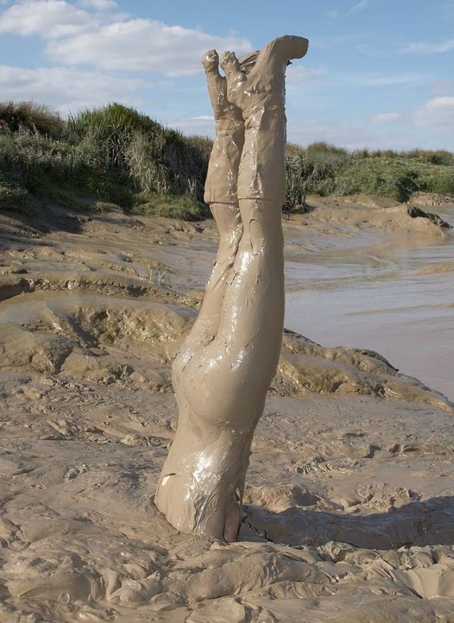 Daily picdump (112 pics)