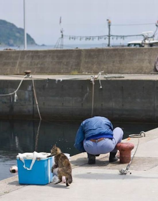 Daily picdump (112 pics)