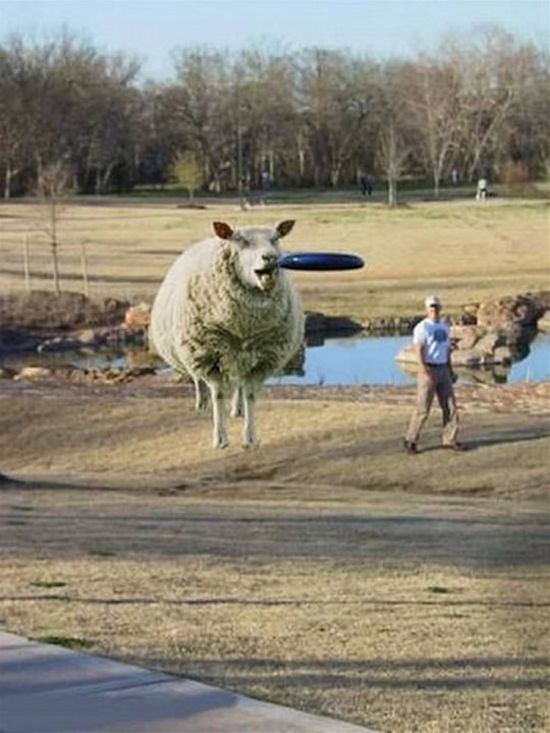 Daily picdump (112 pics)