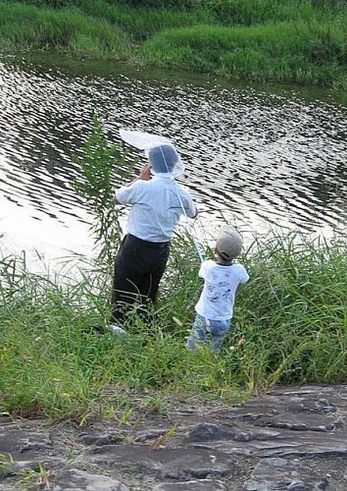 Daily picdump (112 pics)