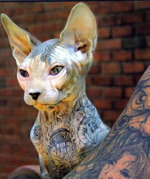 Daily picdump (112 pics)