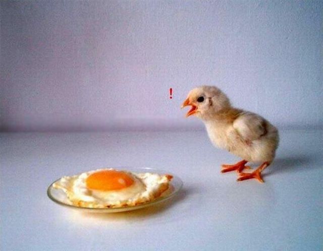 Daily picdump (112 pics)