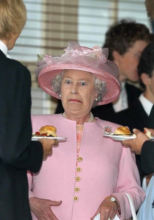 Politics is a delicate thing (51 pics)