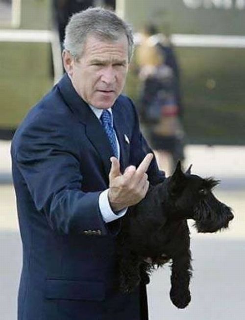 Politics is a delicate thing (51 pics)