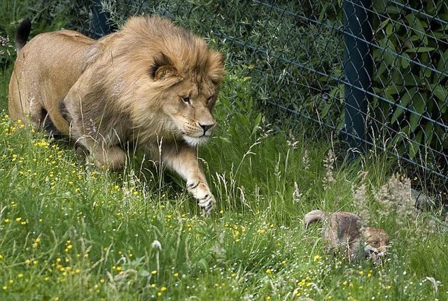 Daily picdump (119 pics)