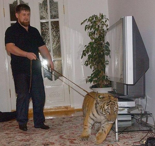 Daily picdump (119 pics)