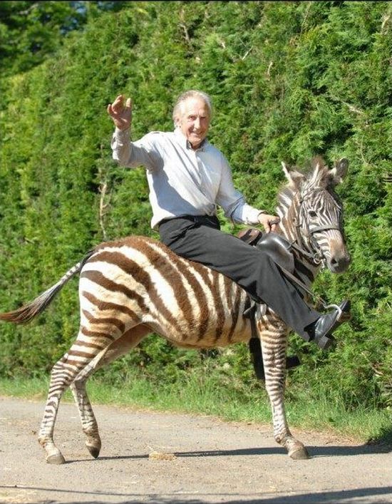 Daily picdump (119 pics)