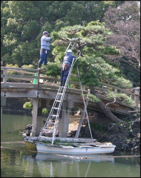 Daily picdump (119 pics)