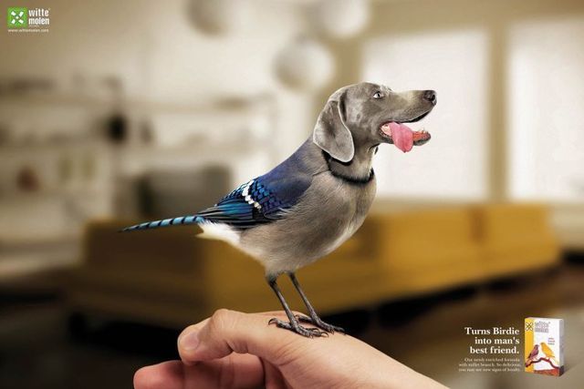 Daily picdump (119 pics)
