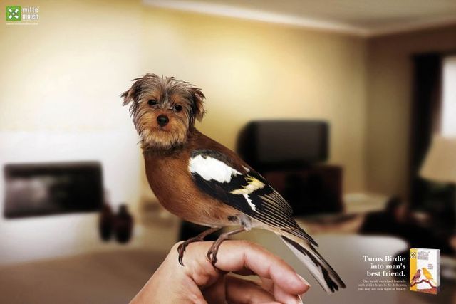 Daily picdump (119 pics)