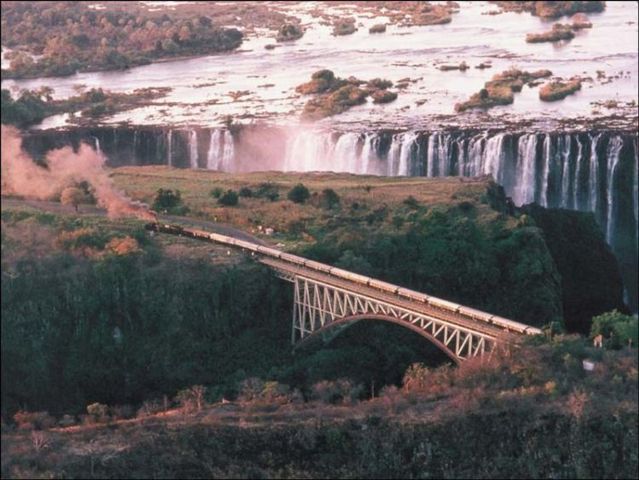 The Pride of Africa (37 pics)