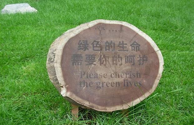 Weird signs (22 pics)