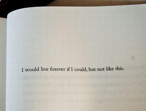 Inspiring and motivational inscriptions (58 pics)